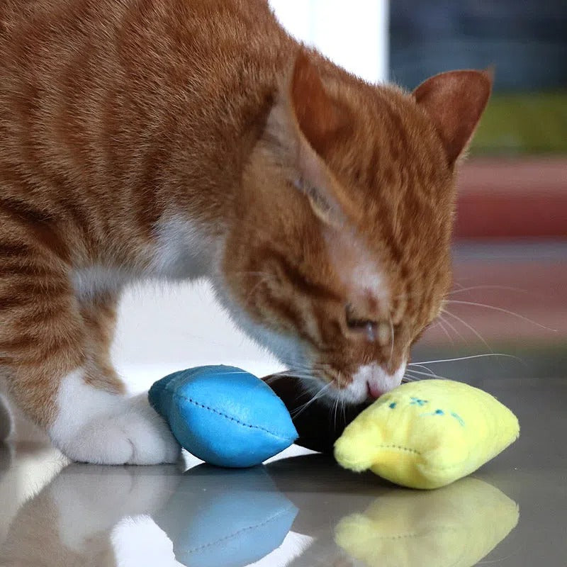 1pc Cat Design Teaser Toy with Squeaky